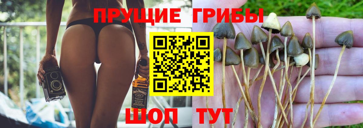 что такое наркотик  Псилоцибиновые грибы MAGIC MUSHROOMS  Вход с VPN  Донской 