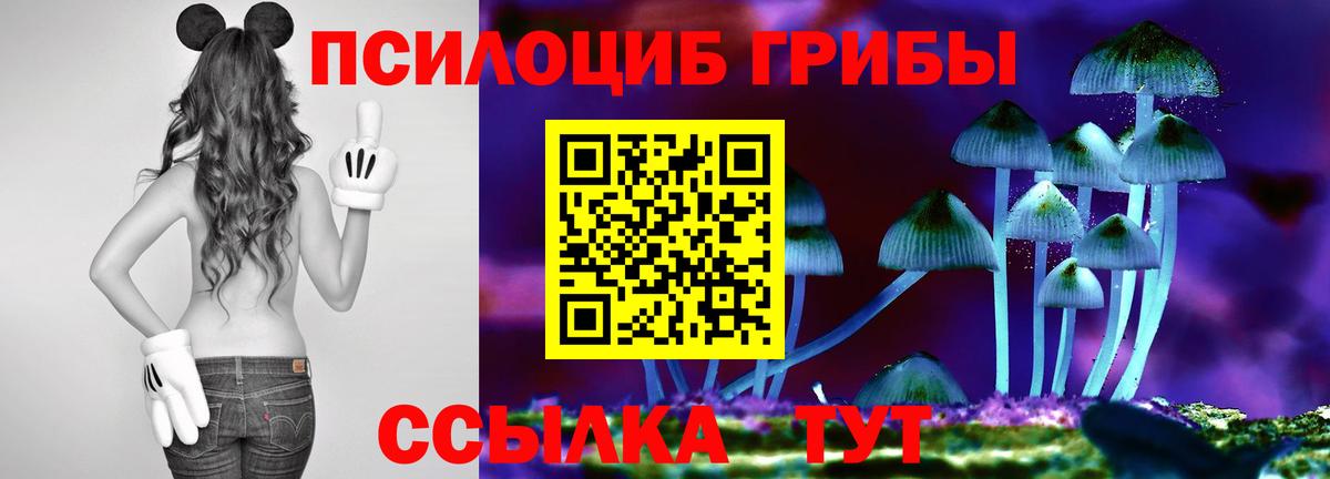 Галлюциногенные грибы Magic Shrooms Донской